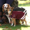 Shires Digby & Fox Waterproof Dog Coat
